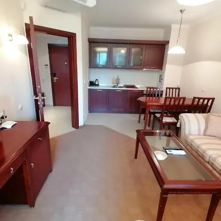 Apartament Downtown Luxury Private *