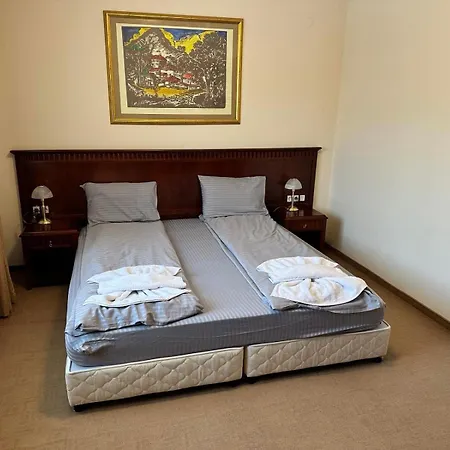 Downtown Luxury Private * Bansko
